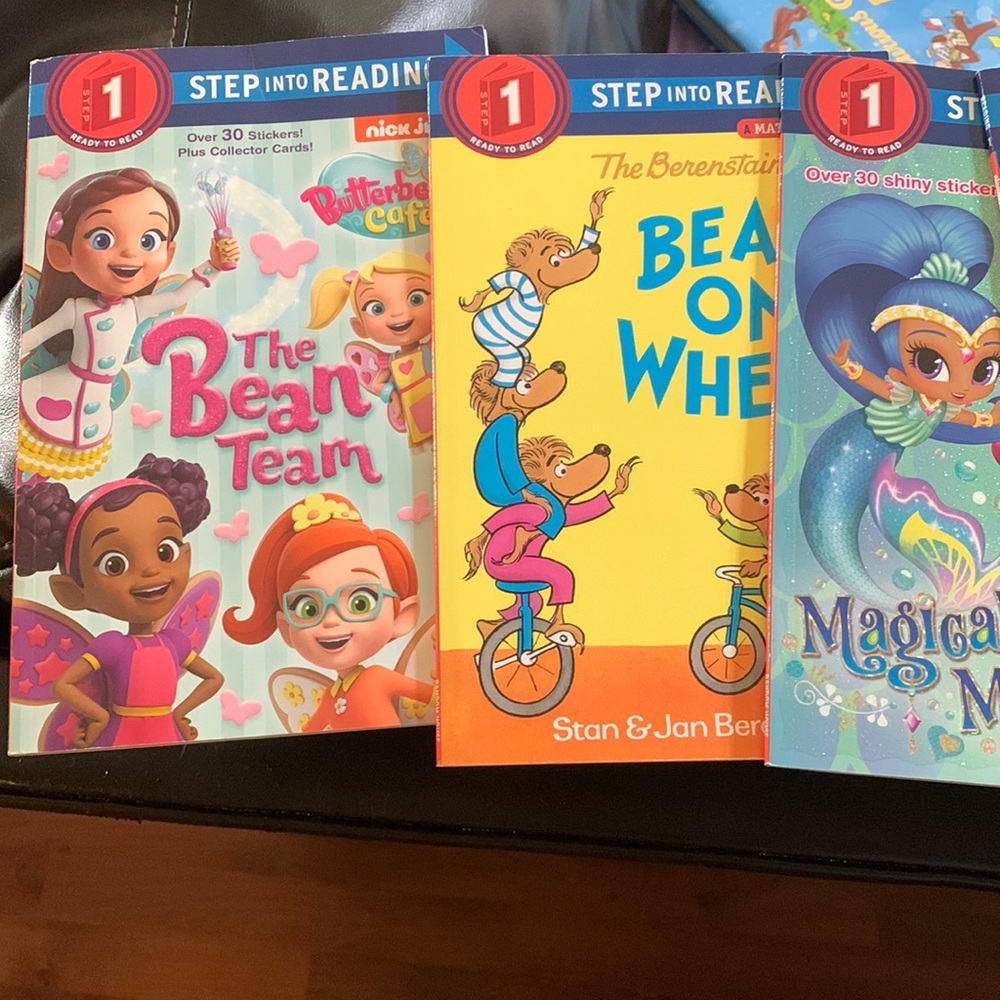 6 step 1 books
